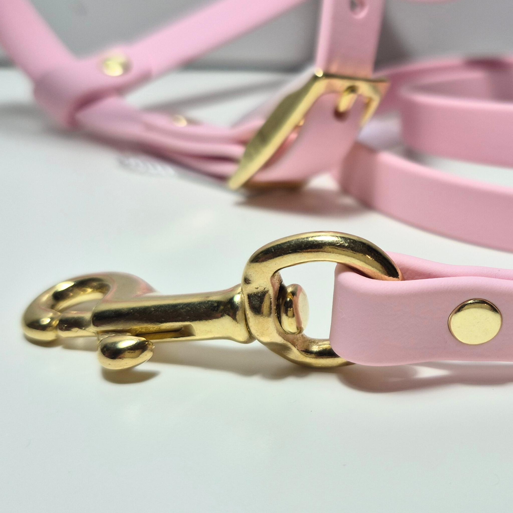 Pettorina per Cani in Biothane Light Gold